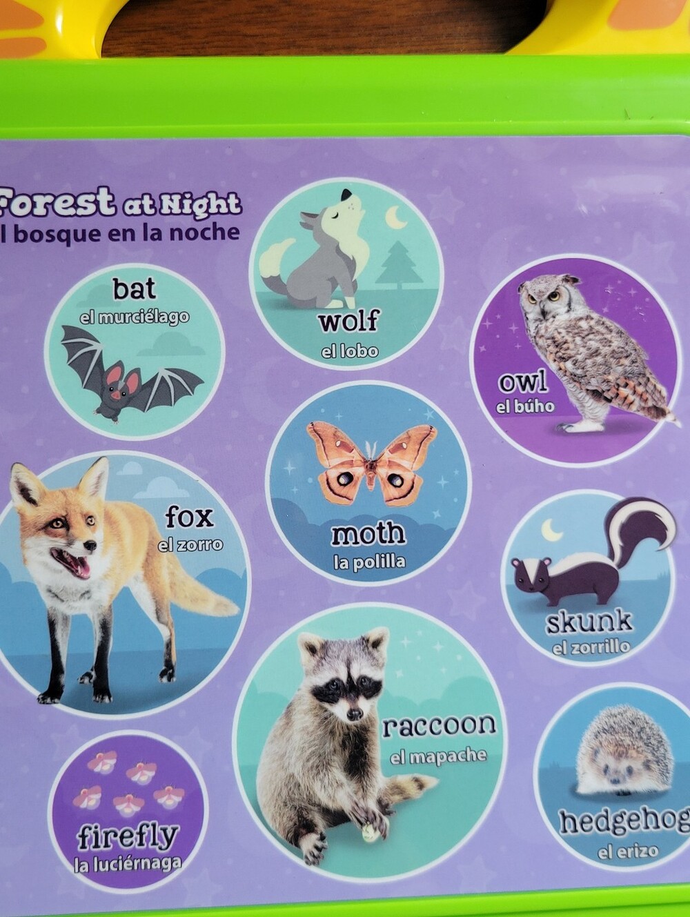 LeapFrog Words And Animals Learning Books (2) - Picture 15 of 15